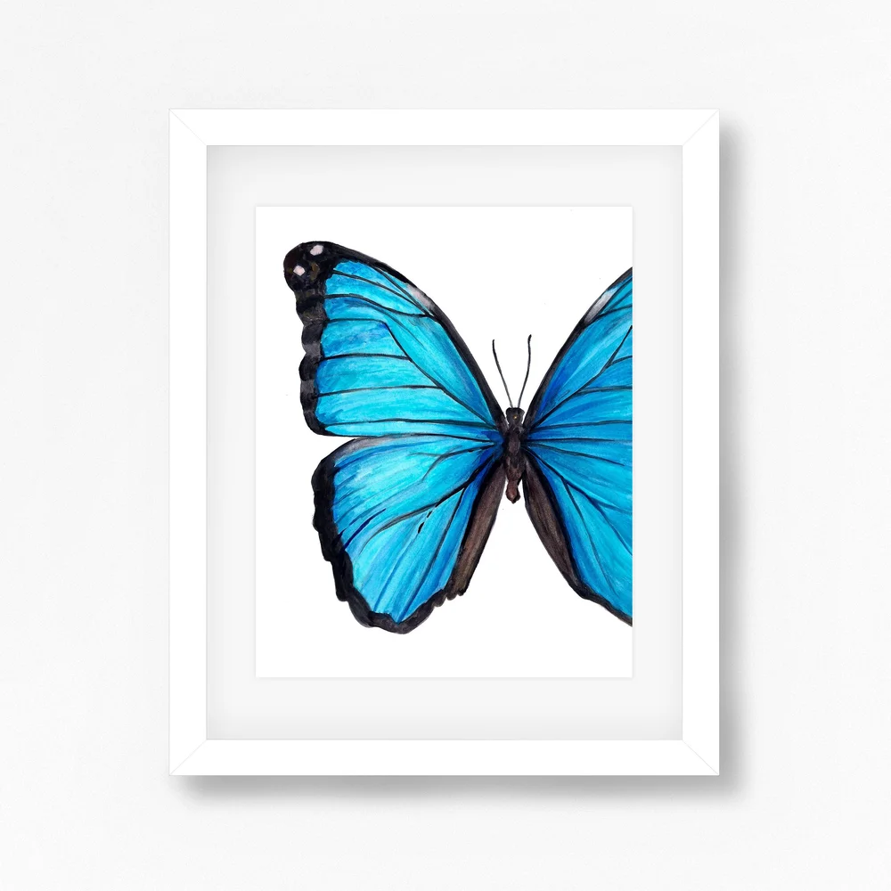 Blue Morpho Butterfly — Sarah E. Wain Art